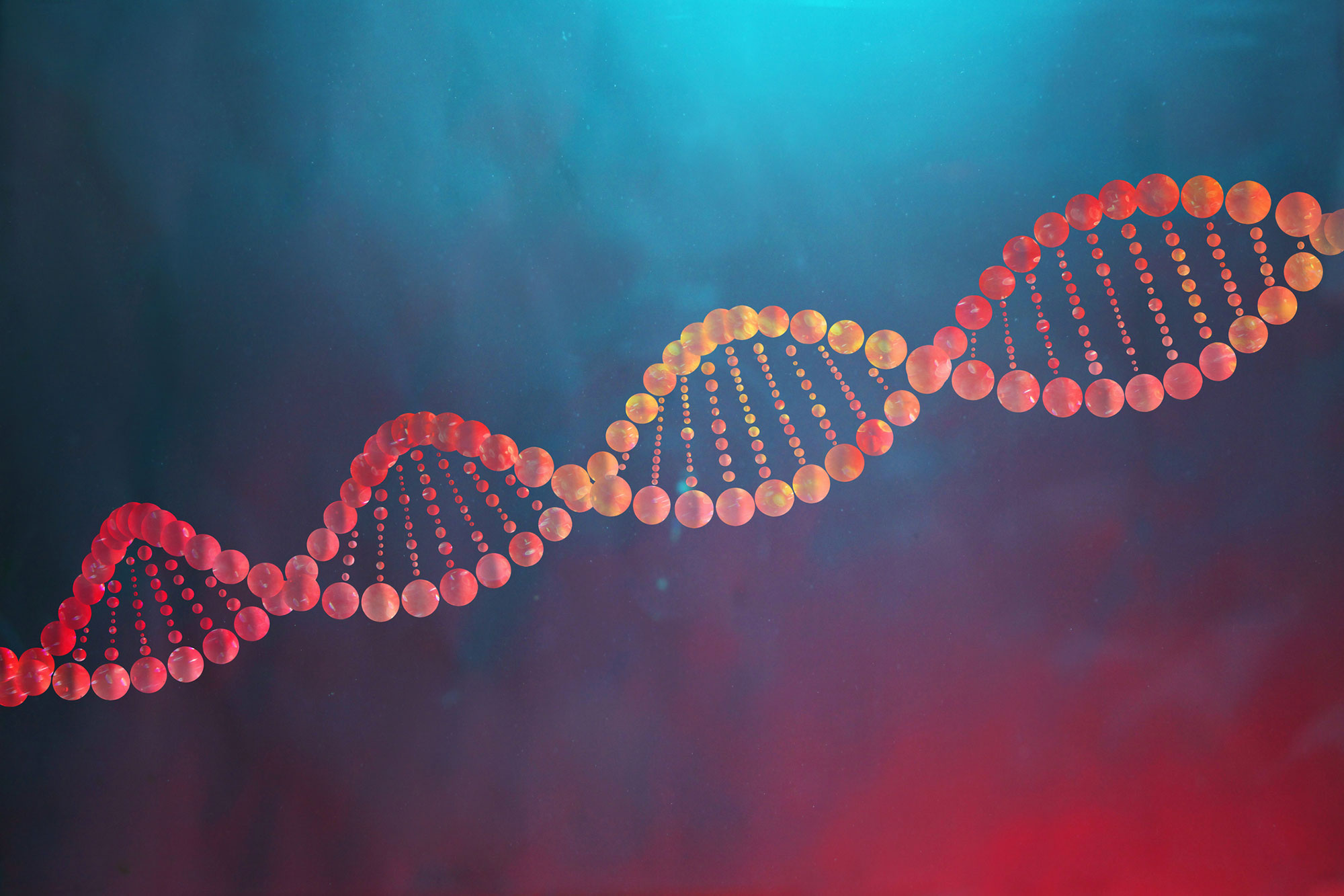 How Your Lifestyle Choices Affect Future Generations: The Power of Epigenetics 